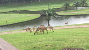 San Lameer Holidays